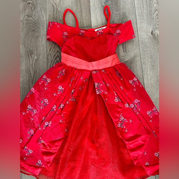 Elena of Avalor Costume - Picture 2 of 5